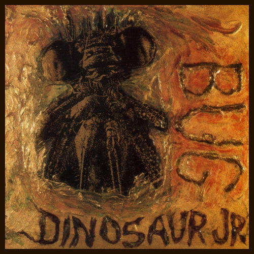 Dinosaur-jr-bug-ri-new-vinyl