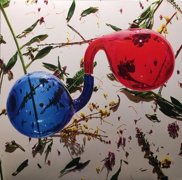 Dirty-projectors-lamp-lit-prose-new-vinyl