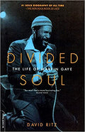Divided Soul - The Life of Marvin Gaye