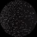 Dj-lag-steam-rooms-ep-new-vinyl