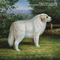Douglas Andrew McCombs - VMAK<KOMBZ<<<DUGLAS<<62DR7<<< (New CD)