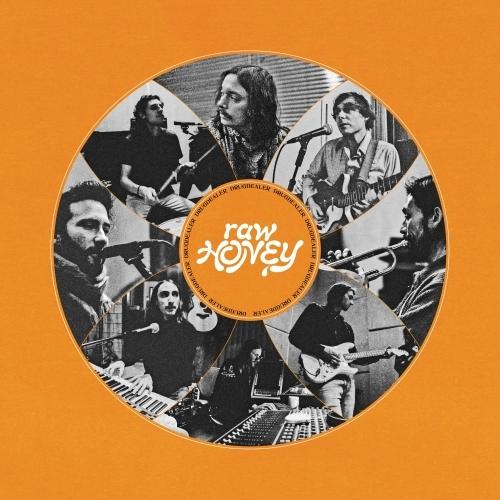 Drugdealer-raw-honey-new-vinyl