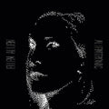 Ellen-allien-alientronic-new-vinyl