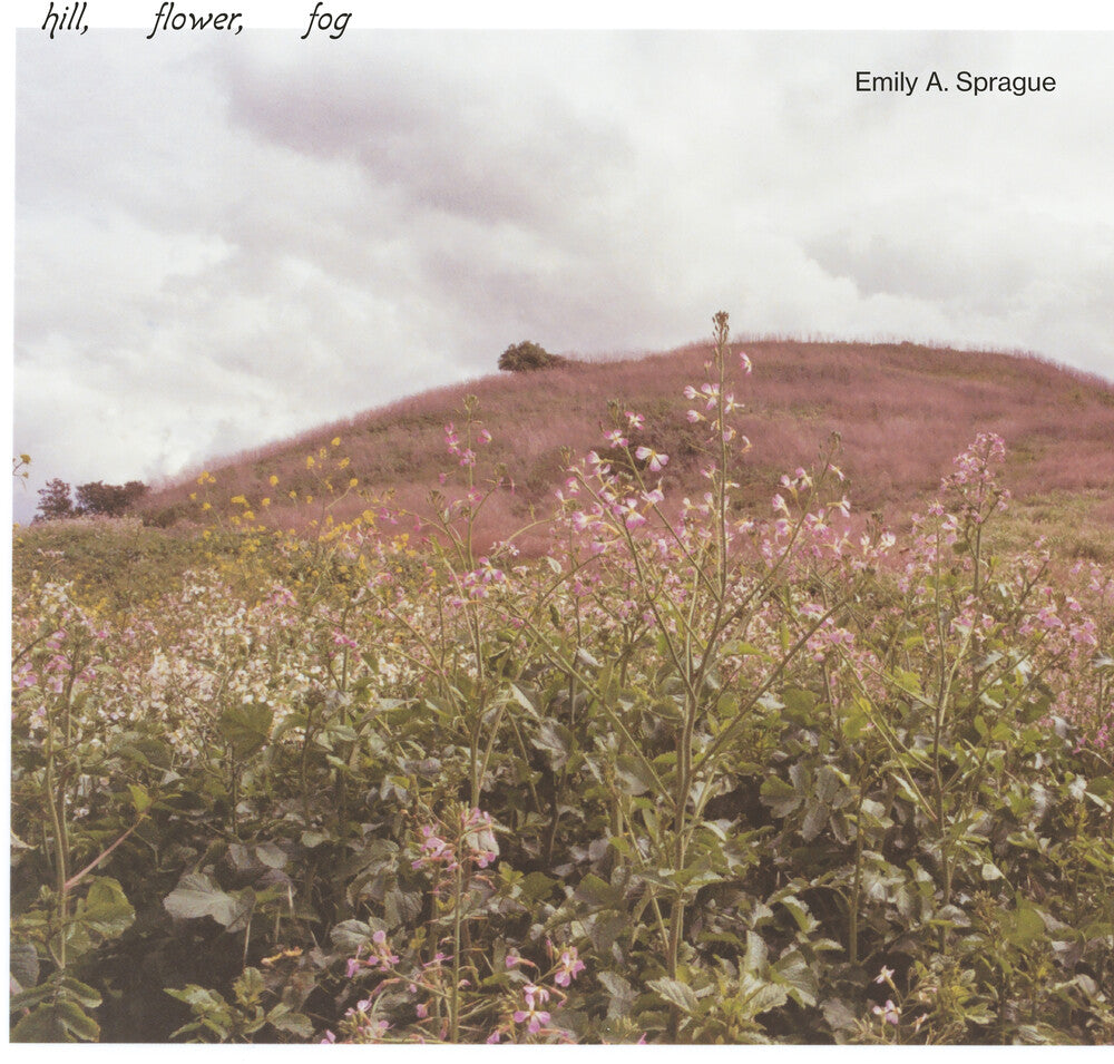 Emily A. Sprague - Hill, Flower, Fog (New Vinyl)