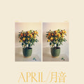 Emmy The Great - April (New Vinyl)