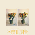 Emmy the Great - April (New CD)