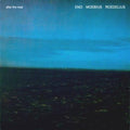 Enomoebiusroedelius-after-the-heat-new-vinyl