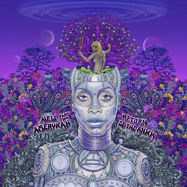 Erykah Badu - Baduizm (New CD) – Sonic Boom Records