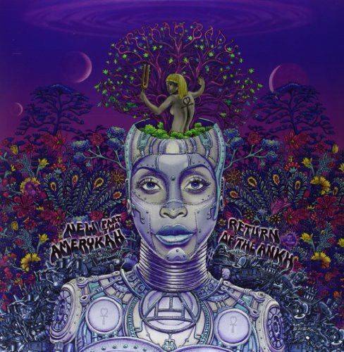 Erykah-badu-pt2-new-amerykah-new-vinyl