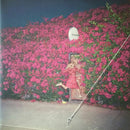 Feist - Pleasure (New Vinyl)