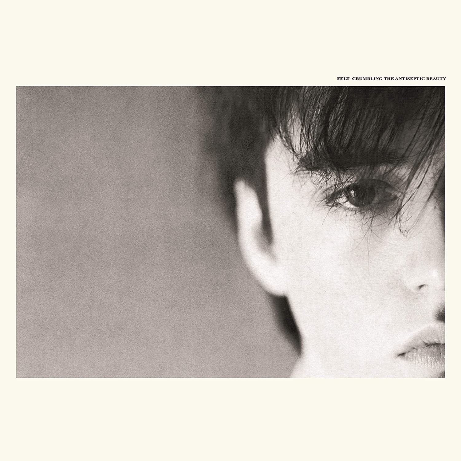 Felt-crumbling-the-antiseptic-new-vinyl