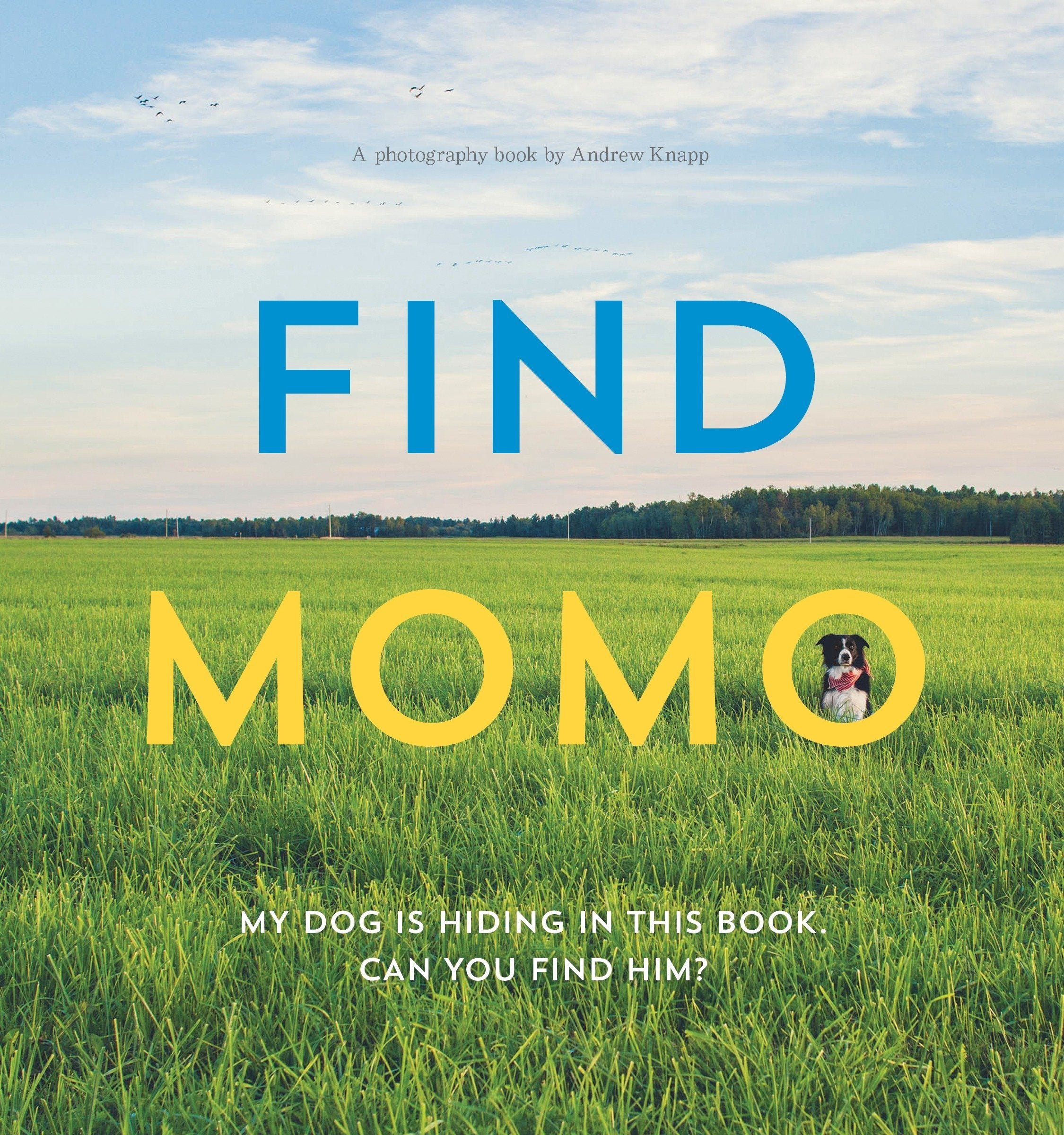 Find Momo (New Book)