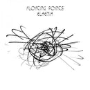 Floating-points-elaenia-new-vinyl