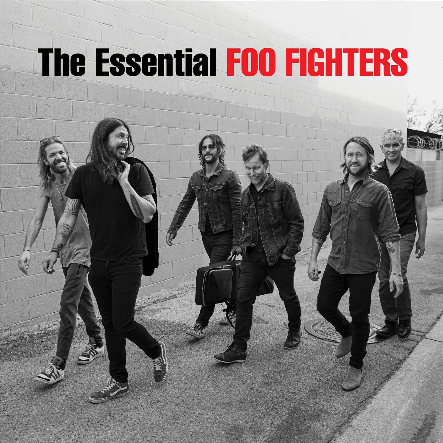 Foo Fighters - The Essential Foo Fighters (New Vinyl)