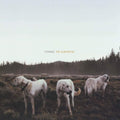 Foxing-albatross-new-vinyl
