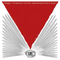 Foxygen-we-are-the-21st-century-ambass-new-vinyl
