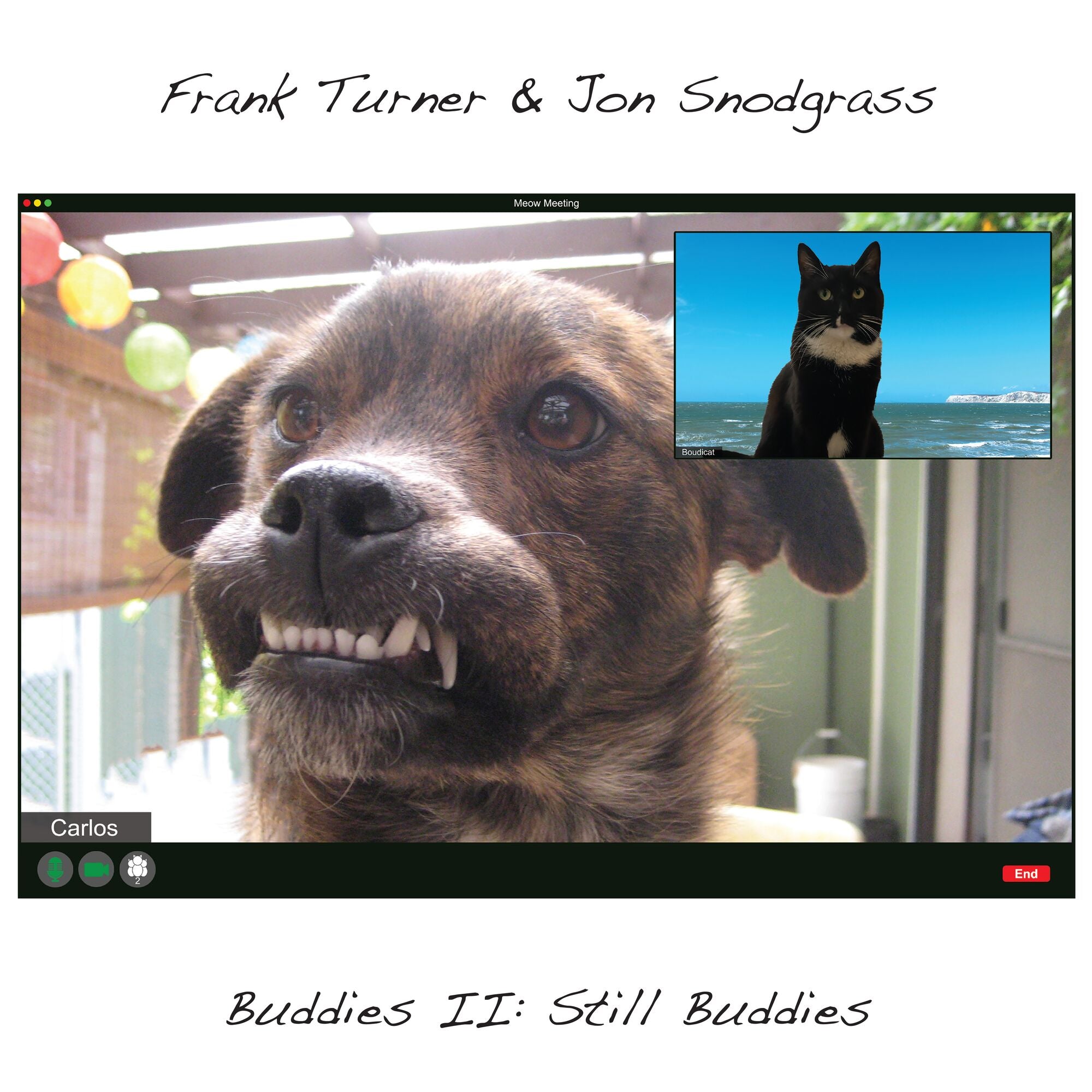 Frank Turner & Jon Snodgrass - Buddies II: Still Buddies (New Vinyl)