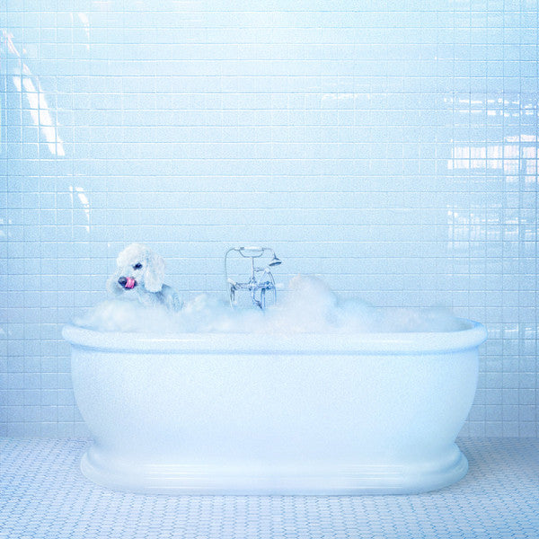 Frankie-cosmos-vessel-loser-edition-coloured-vinyl