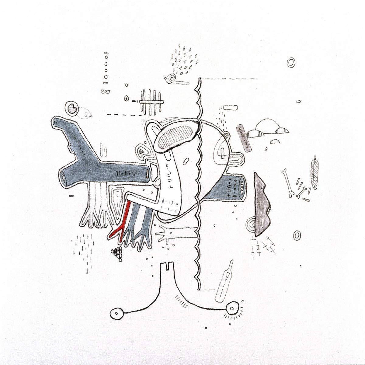 Frightened-rabbit-tiny-changes-new-vinyl