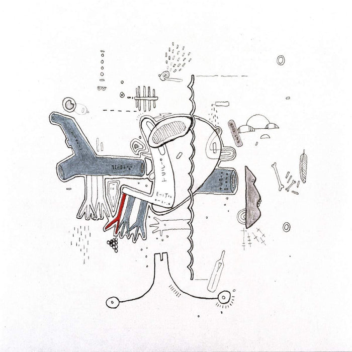 Frightened-rabbit-tiny-changes-new-vinyl