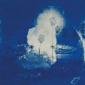 Fruit Bats - A River Running To Your Heart (New Vinyl)