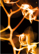 (G)I-DLE - I Burn [Fire Version] (New CD)