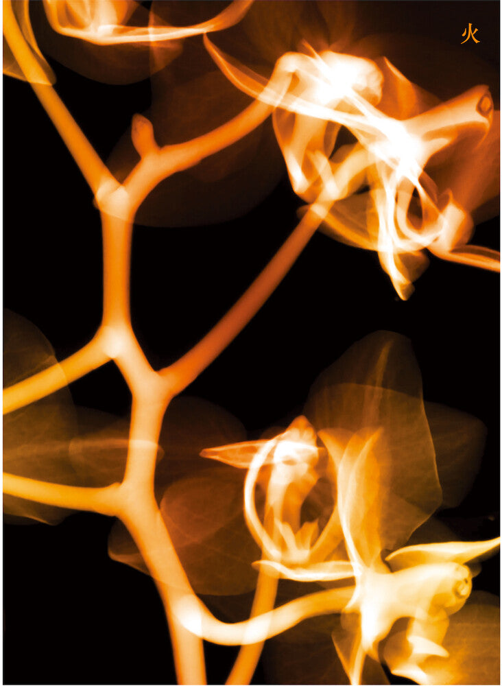 (G)I-DLE - I Burn [Fire Version] (New CD)