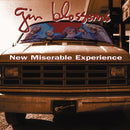 Gin-blossoms-new-miserable-experience-new-vinyl