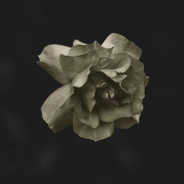 Gldmth - Gldmth (New Vinyl)
