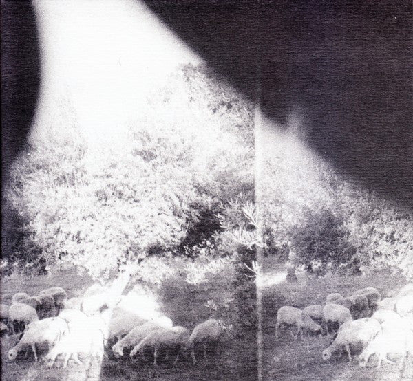 Godspeed-you-black-emperor-asunder-sweet-and-other-distress-new-cd