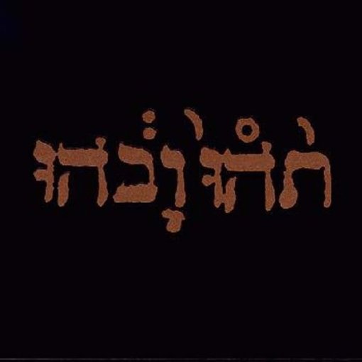 Godspeed You! Black Emperor - Slow Riot For New Zero Kanada (New CD)