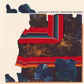 Grizzly-bear-painted-ruins-new-vinyl