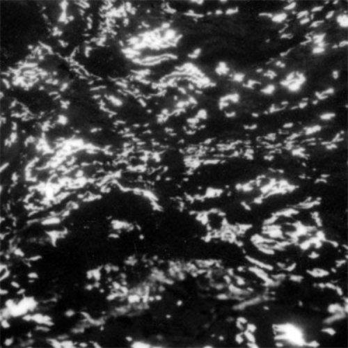 Grouper-aia-dream-loss-new-vinyl