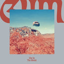 Gum (Tame Impala) - Out in the World (New Vinyl)