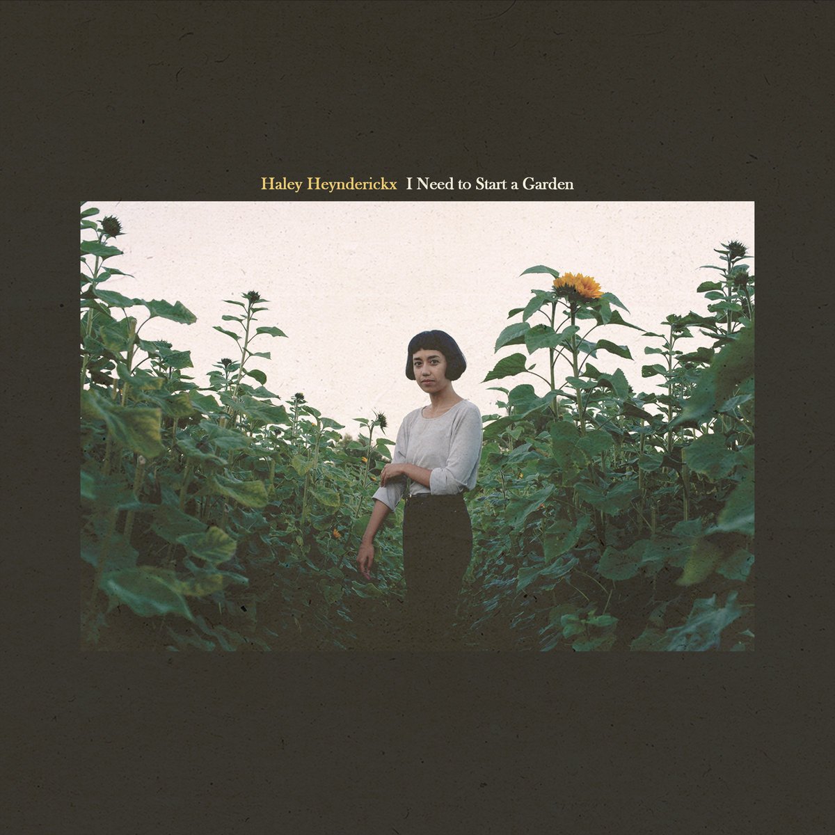Haley-heynderickx-i-need-to-start-a-garden-new-vinyl