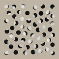 Half Moon Run - The Covideo Sessions (New Vinyl)
