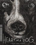 Heart-of-a-dog-new-blu-ray