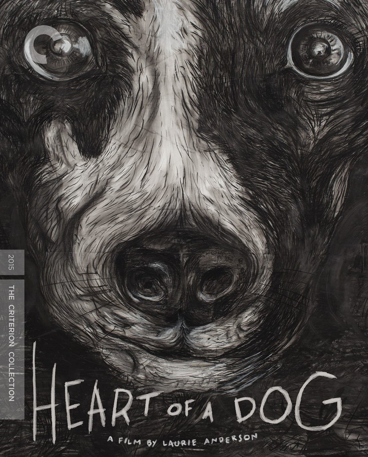 Heart-of-a-dog-new-blu-ray