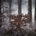 Hell Is Other People - Embrace (New CD)