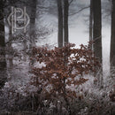 Hell Is Other People - Embrace (New CD)