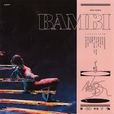 Hippo-campus-bambi-midwinter-new-vinyl