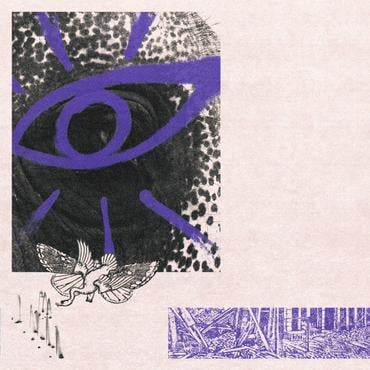 Hippo Campus - LP3 (New CD)