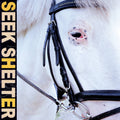 Iceage - Seek Shelter (New CD)