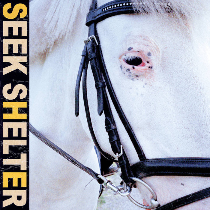 Iceage - Seek Shelter (New Vinyl)
