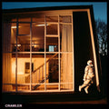 Idles - Crawler (New Vinyl)