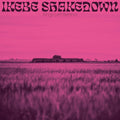 Ikebe-shakedown-kings-left-behind-new-vinyl