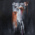 Insect-ark-the-vanishing-new-vinyl