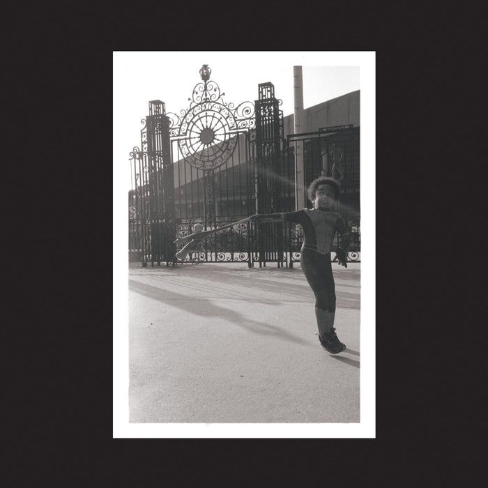Irreversible Entanglements - Open the Gates (New Vinyl)