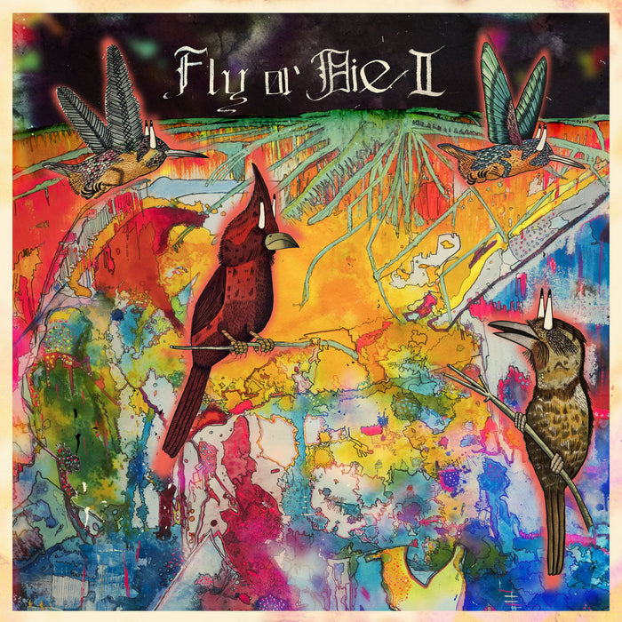 Jaimie-branch-fly-or-die-ii-bird-dogs-of-paradise-new-cd