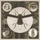 Jerry Cantrell - Brighten (New CD)